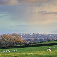 Buy canvas prints of Above Cardiff by Richard Downs