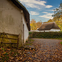 Buy canvas prints of Autumnal by Richard Downs