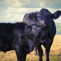 Buy canvas prints of Farmland Family Portrait by Richard Downs