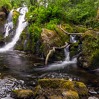 Buy canvas prints of The Forest Waterfall by Eirik Sørstrømmen