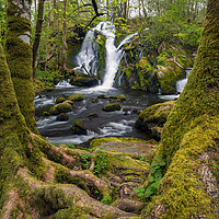 Buy canvas prints of The Forest Waterfall by Eirik Sørstrømmen