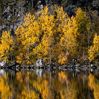 Buy canvas prints of Autumn Reflections in The Lake by Eirik Sørstrømmen