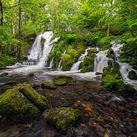 Buy canvas prints of A waterfall in a forest by Eirik Sørstrømmen
