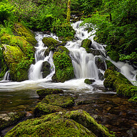 Buy canvas prints of A Waterfall in The Forest by Eirik Sørstrømmen