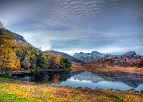 Langdale Pikes from Blea Tarn Picture Board by David Stanforth