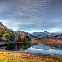 Buy canvas prints of Langdale Pikes from Blea Tarn by David Stanforth