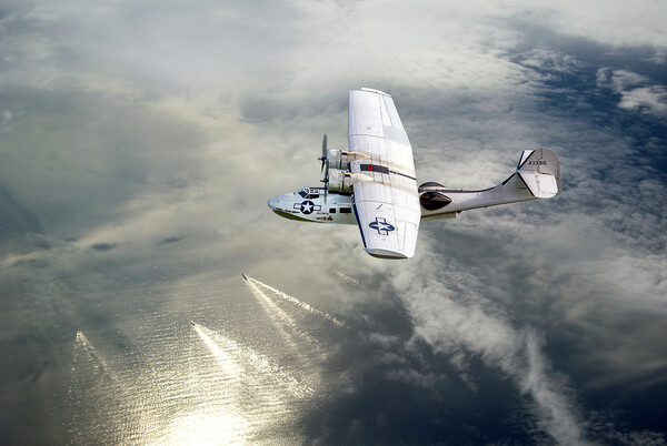 Catalina on Patrol Picture Board by David Stanforth