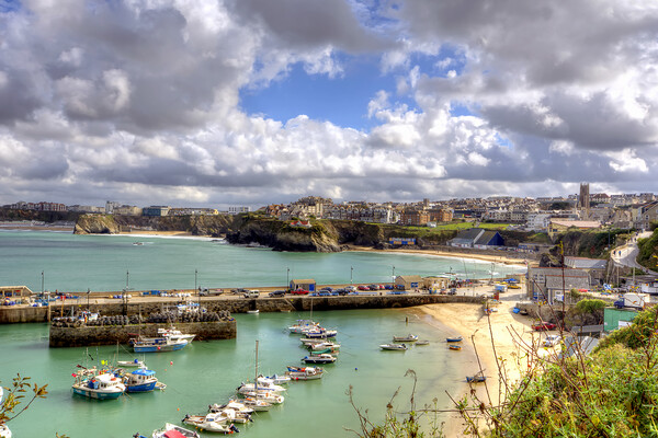 Newquay Harbour  Picture Board by David Stanforth