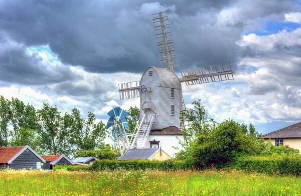 Saxtead Mill  Picture Board by David Stanforth