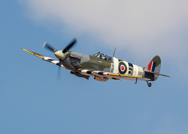 A Wave for the Brave - Spitfire Peterjohn1 Picture Board by David Stanforth