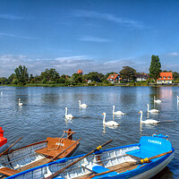 Buy canvas prints of Swans and Boats, Thorpeness  by David Stanforth