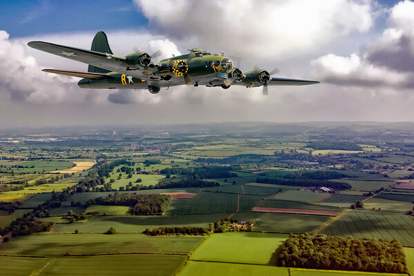 Sally B  Picture Board by David Stanforth