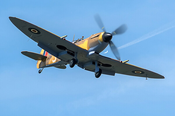 Pure Luck Spitfire coming in to land Picture Board by David Stanforth