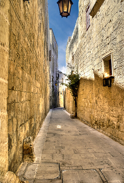 Narrow street in Malta  Picture Board by David Stanforth