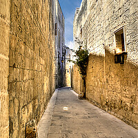 Buy canvas prints of Narrow street in Malta  by David Stanforth