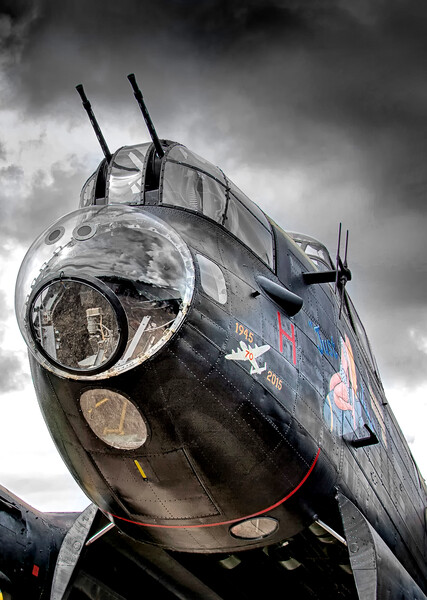 Just Jane Nose Artwork Picture Board by David Stanforth