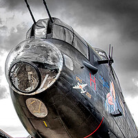 Buy canvas prints of Just Jane Nose Artwork by David Stanforth
