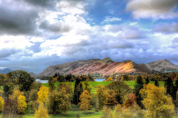 Cat Bells from Crow Park Picture Board by David Stanforth