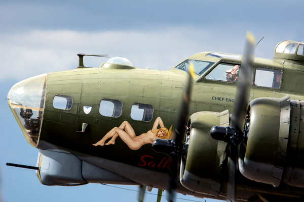 Sally B Nose Art Picture Board by David Stanforth