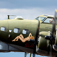 Buy canvas prints of Sally B Nose Art by David Stanforth