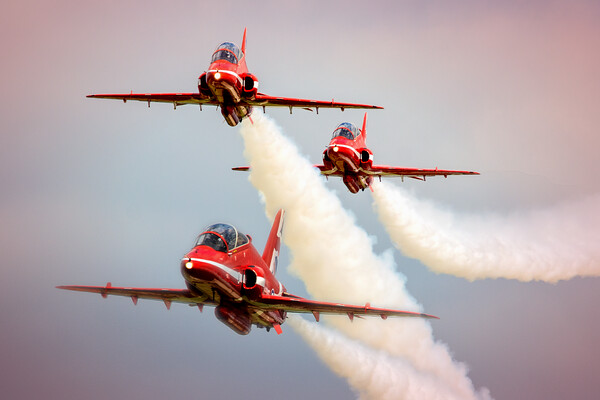 Low Flying Reds Picture Board by David Stanforth