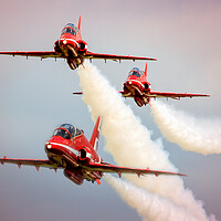 Buy canvas prints of Low Flying Reds by David Stanforth