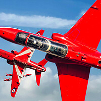 Buy canvas prints of Reds up Close by David Stanforth
