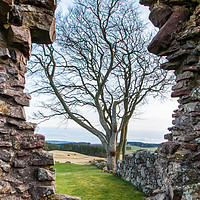 Buy canvas prints of Balvaird Castle Stone Portal by Willie Cowie