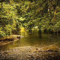 Buy canvas prints of Tranquil Brook by Martin Hopkins