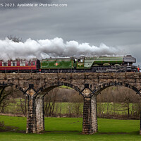 Buy canvas prints of The Flying Scotsman by MICHAEL YATES