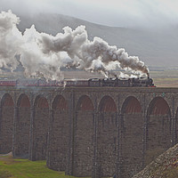 Buy canvas prints of Cumbrian Mountain Express by MICHAEL YATES