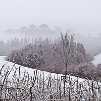 Buy canvas prints of Snow Scene by MICHAEL YATES