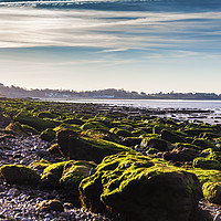 Buy canvas prints of Coastal Erosion by MICHAEL YATES