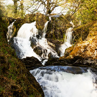 Buy canvas prints of Swallow Falls The Foaming Waterfall by Darren Willmin