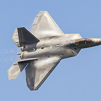 Buy canvas prints of United States Air Force F-22 Raptor  by Darren Willmin