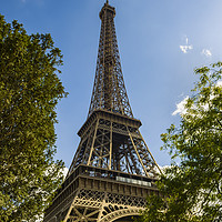 Buy canvas prints of Eiffel Tower Through Trees by Paul Warburton