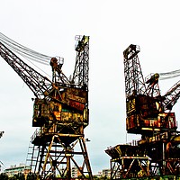 Buy canvas prints of Cranes of Battersea by Annette Johnson