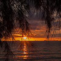 Buy canvas prints of Tropical Sunset #4 by Annette Johnson