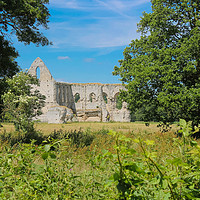 Buy canvas prints of Newark Priory #2 by Annette Johnson