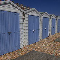 Buy canvas prints of Beach Huts by Annette Johnson
