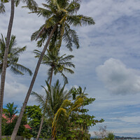 Buy canvas prints of Paradise Island by Annette Johnson