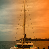 Buy canvas prints of Catamaran by Annette Johnson