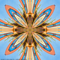 Buy canvas prints of Symmetrical Burst by Jeremy Sage