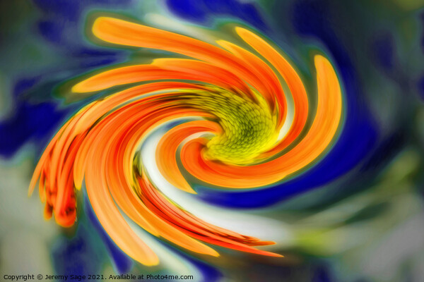 Vibrant Chrysanthemum Swirl Picture Board by Jeremy Sage