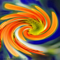 Buy canvas prints of Vibrant Chrysanthemum Swirl by Jeremy Sage