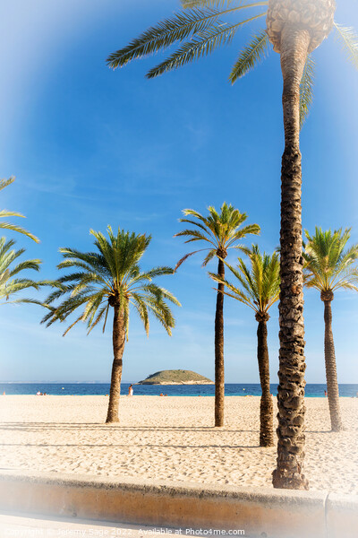 Majestic View of Santa Ponsa Beach Picture Board by Jeremy Sage