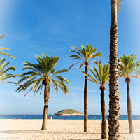 Buy canvas prints of Majestic View of Santa Ponsa Beach by Jeremy Sage