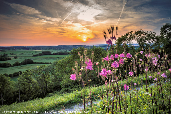 Majestic Sunset Overlooking Wye Downs Picture Board by Jeremy Sage