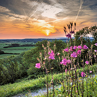 Buy canvas prints of Majestic Sunset Overlooking Wye Downs by Jeremy Sage