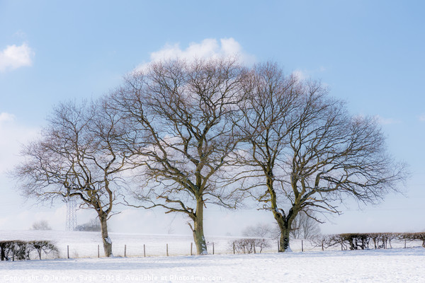 Majestic Winter Wonderland Picture Board by Jeremy Sage